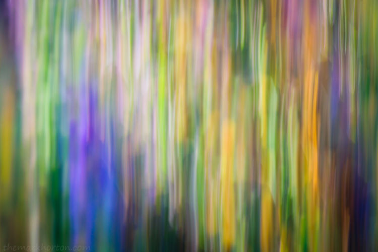 abstract_photograph