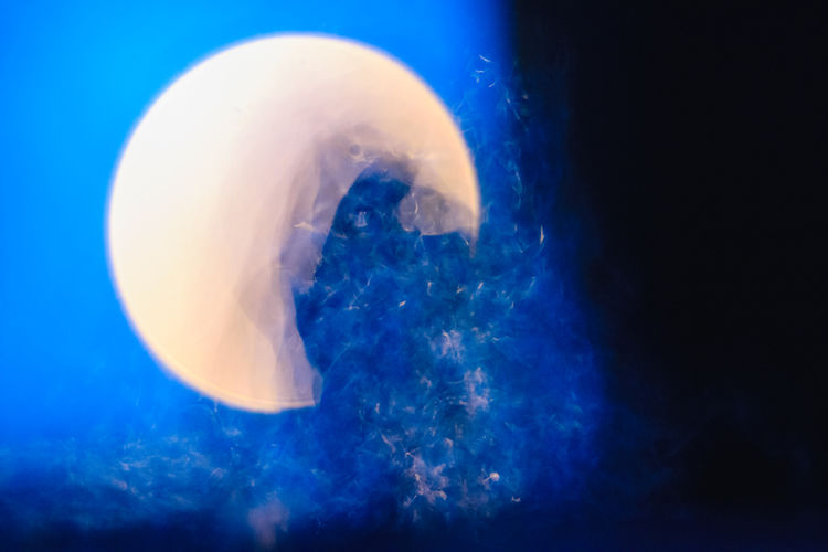 blue_emergence