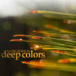 deep colors album cover