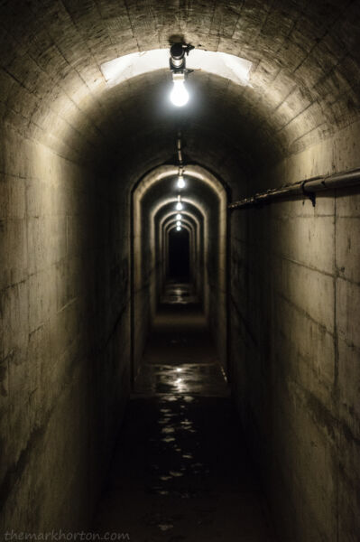 owyhee dam passage